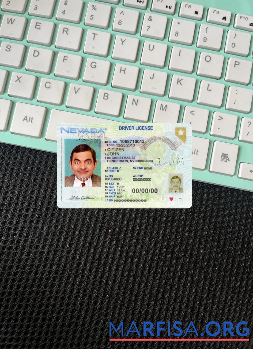 Printable USA Nevada driving license 2021 present photolook sample